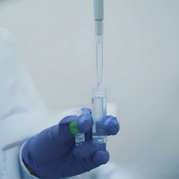 Lyophilized Beads Development Process