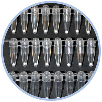 Single-Assay MM beads