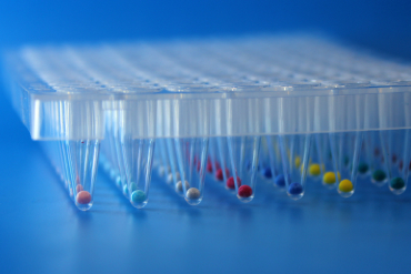 Lyophilized Beads