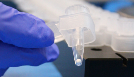 Lyophilization Brings Shelf-Stable Reagents to Point-of-Care Diagnostics
